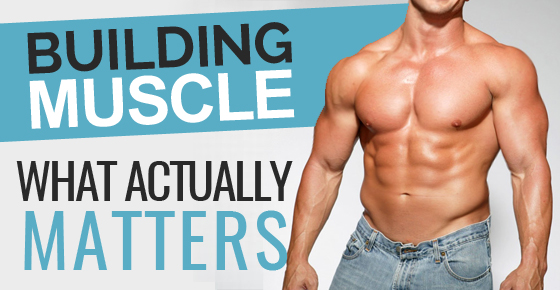 Building-Muscle