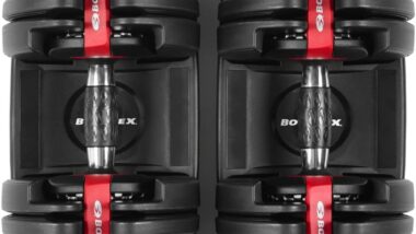 Bowflex SelectTech Dumbells