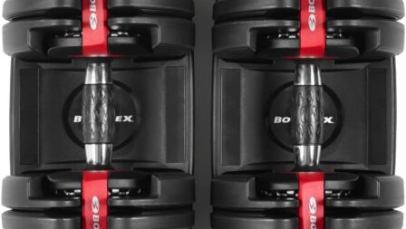 Bowflex SelectTech Dumbells