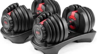 Bowflex SelectTech 552 Dumbbells